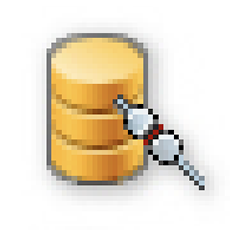 Connect Database icon