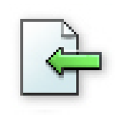 Import icon